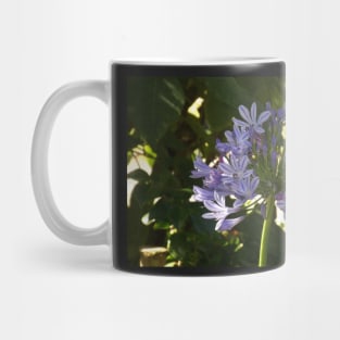 Violet Mug